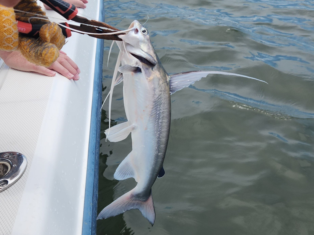 Gulf Island Charters-橙色海湾必去景点