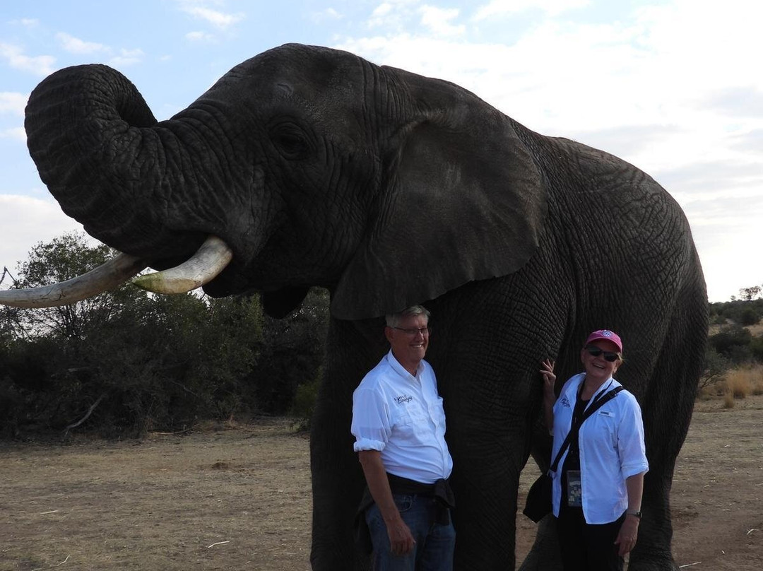Adventures with Elephants-贝拉贝拉必去景点