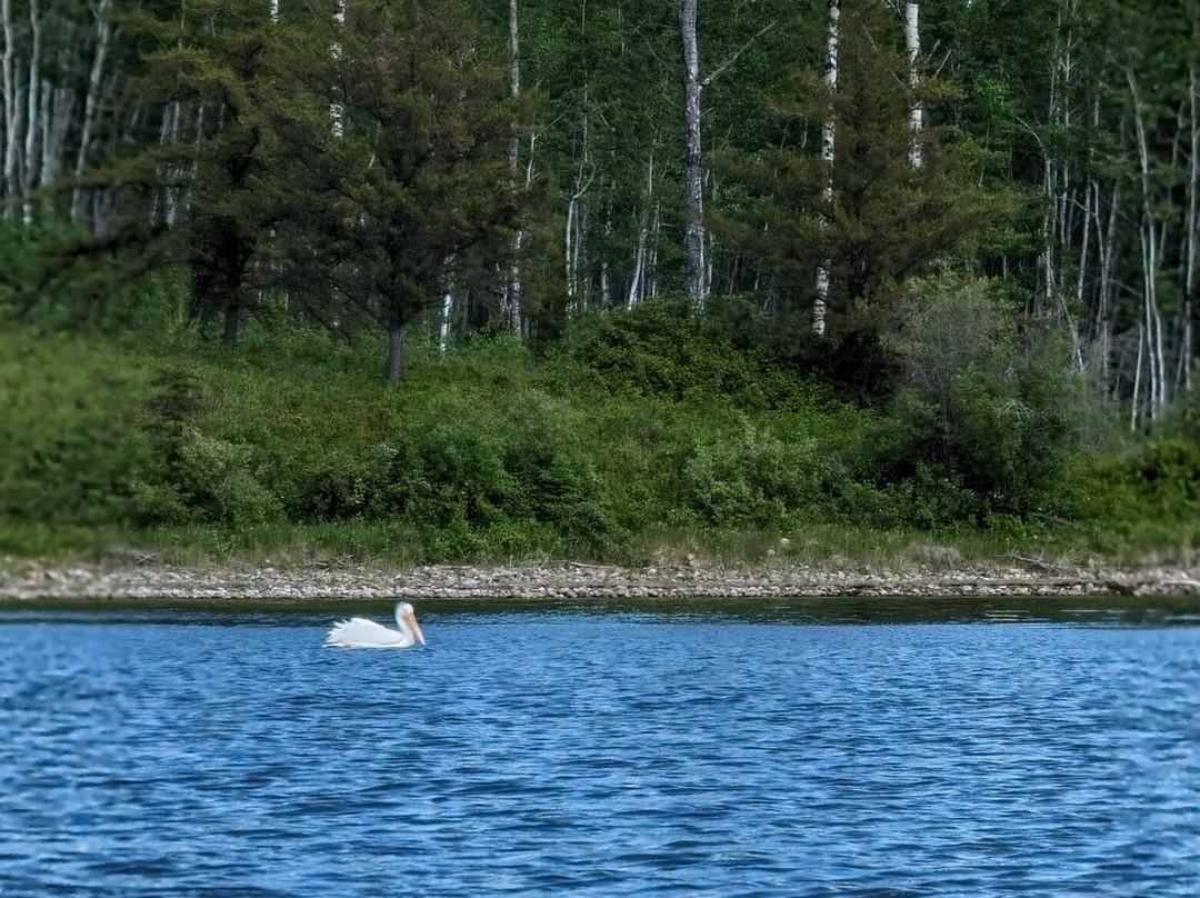 Meadow Lake Provincial Park-Meadow Lake必去景点