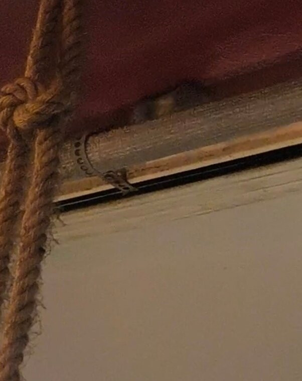 Feira de São Cristóvão-里约热内卢必去景点