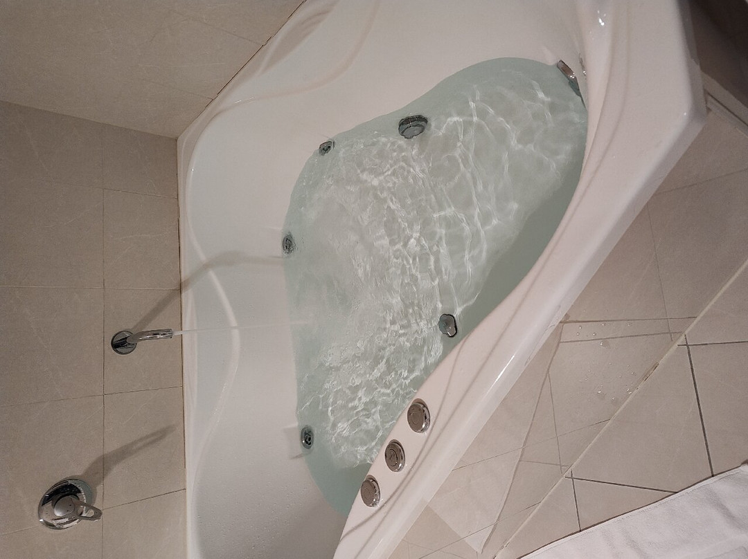 城市公园号角大酒店主图