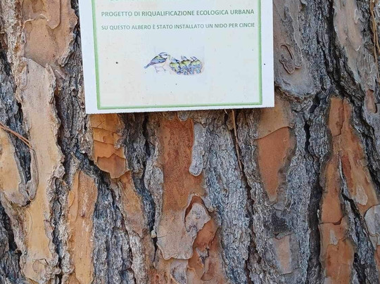 Parco “rita Levi Montalcini”-米萨诺阿德里亚蒂科必去景点