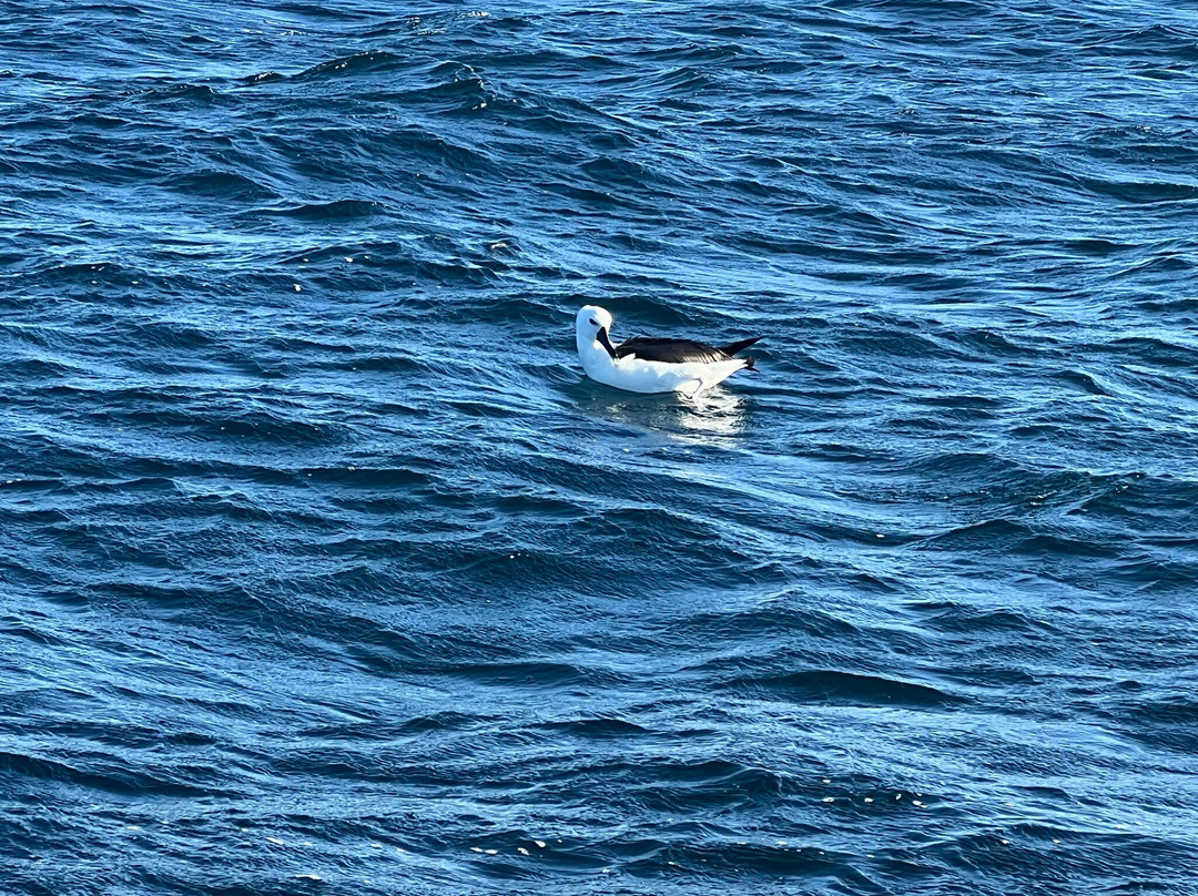 Offshore Africa-Port St Johns必去景点