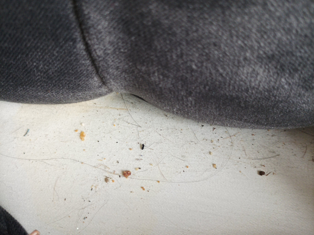 Mellington Hall Country House Hotel主图