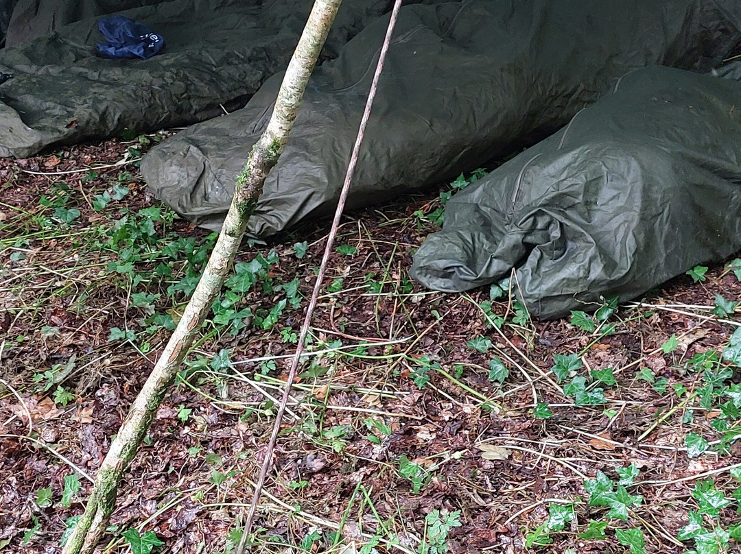 Basic Bushcraft景点图片