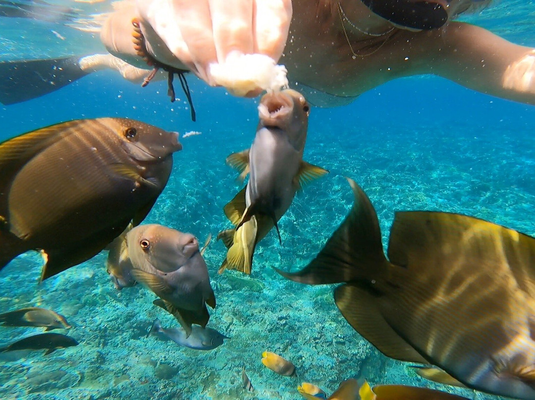 Blue Lagoon Snorkeling Ceningan-努沙切宁安岛必去景点