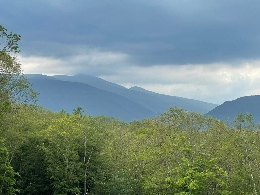 Piaule Catskill主图