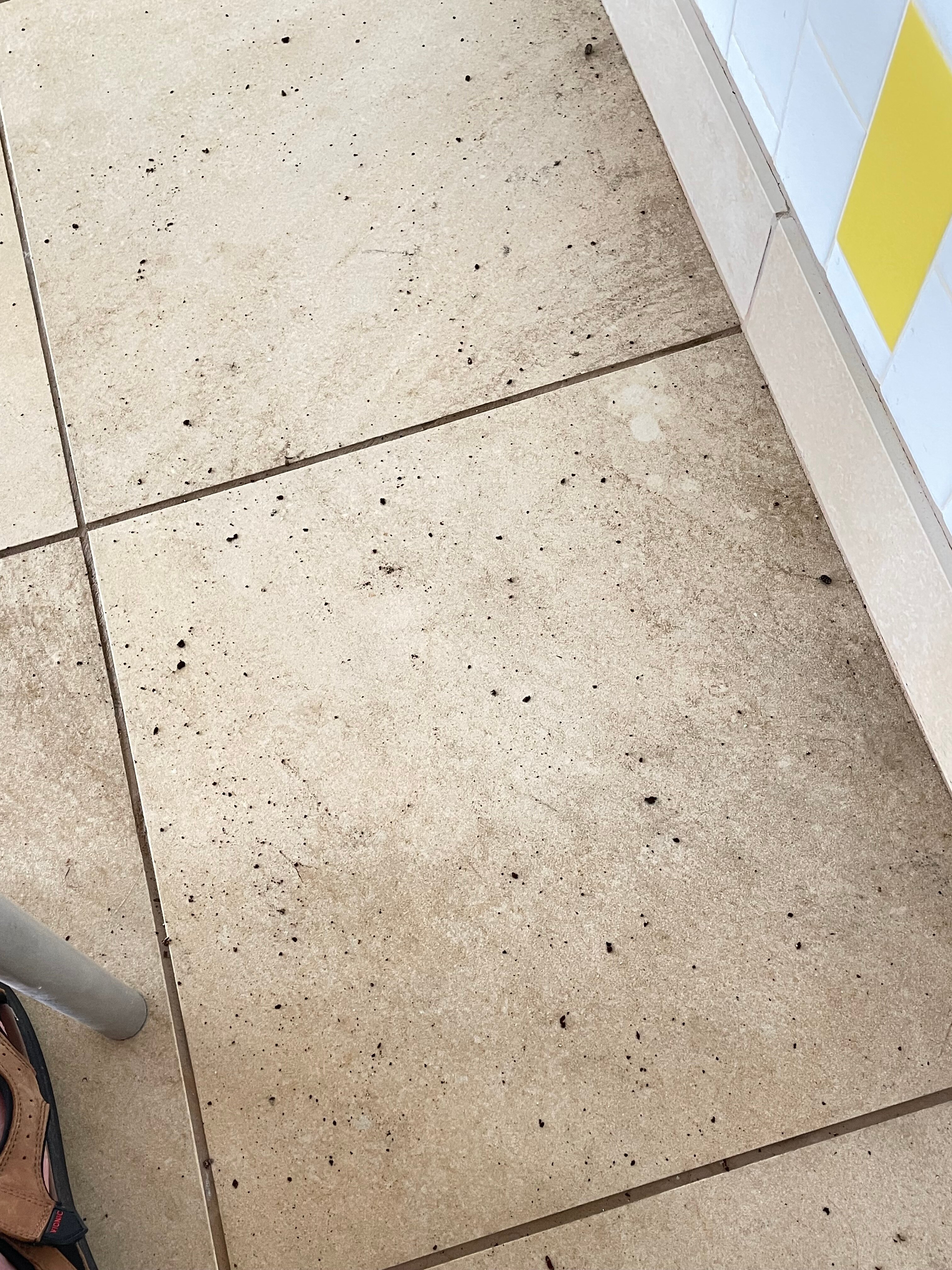 Comfort Inn & Suites-泳池