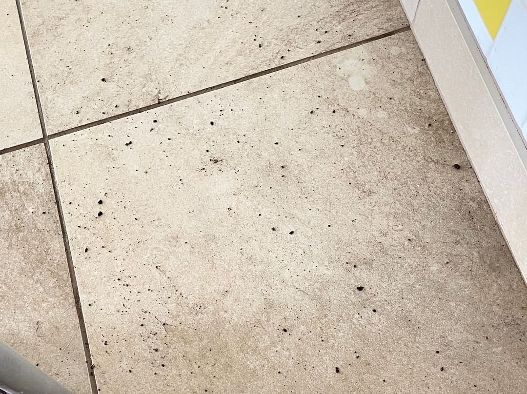 Comfort Inn & Suites主图