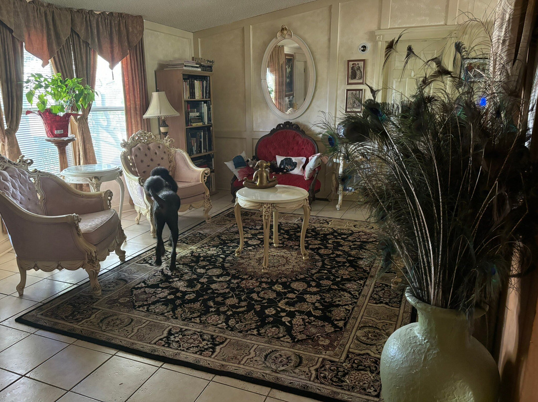 Shady Lady Bed and Breakfast主图