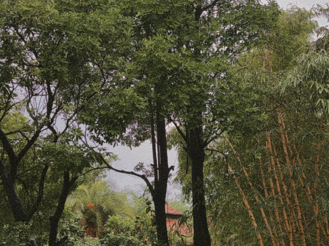 Lohagarh Corbett Resort主图