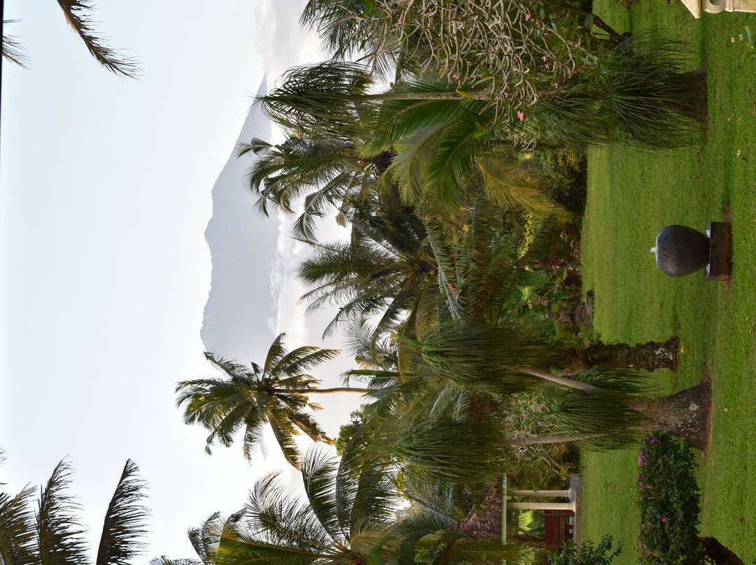 Villa/Guesthouse Rumah Kita主图