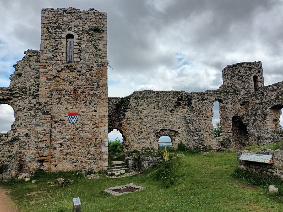 Château d'Urfé景点图片