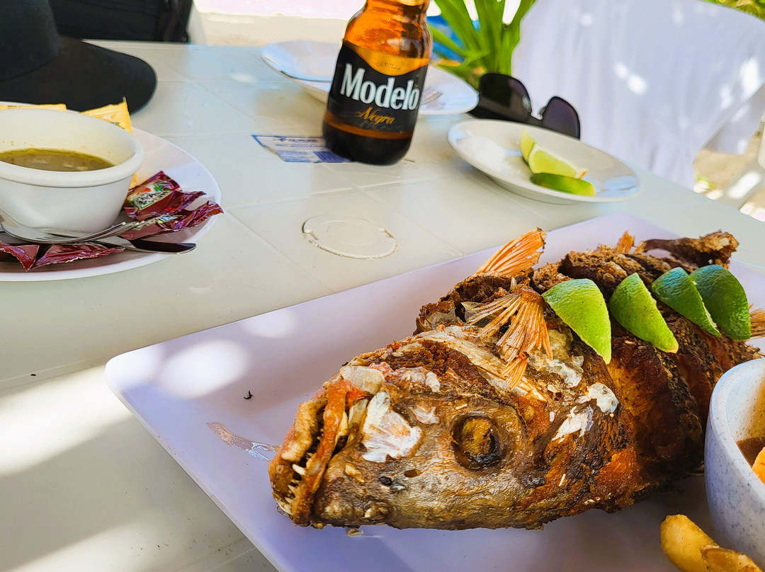 Riviera Moto Adventures-普拉亚德尔卡曼必去景点