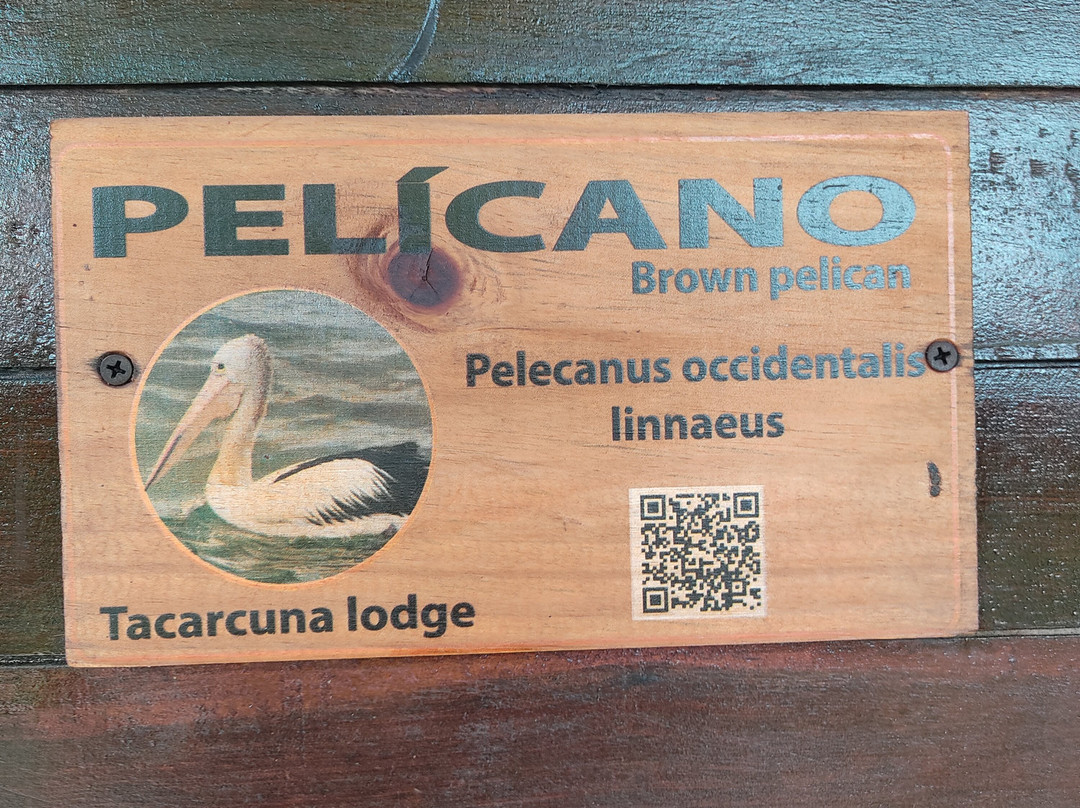 Tacarcuna Lodge主图