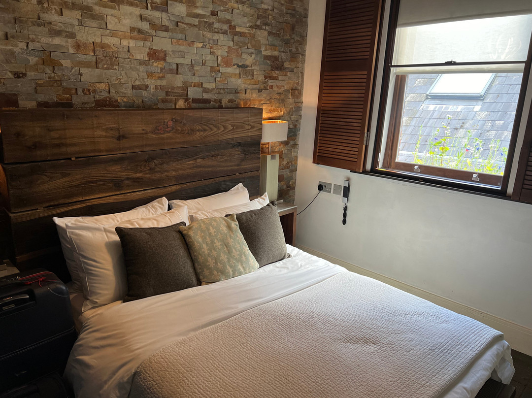 The Cow Hollow Hotel主图