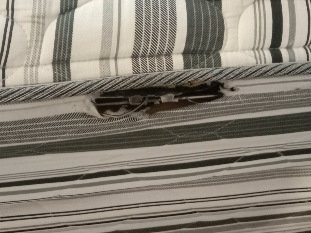 Alexander Motel主图