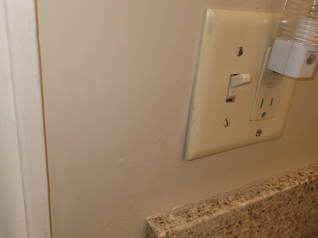 北坦帕希尔顿花园酒店主图