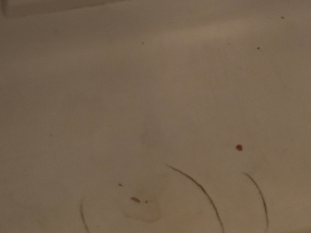 巴黎维勒瑞夫舒适城市公寓酒店主图