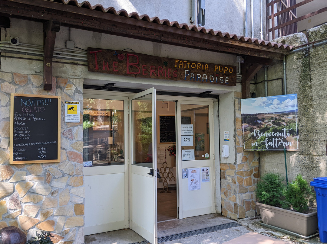 Fattoria Lorenzo Pupo景点图片