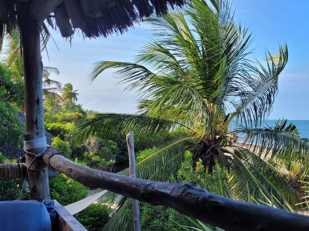 Beach Crab Resort主图