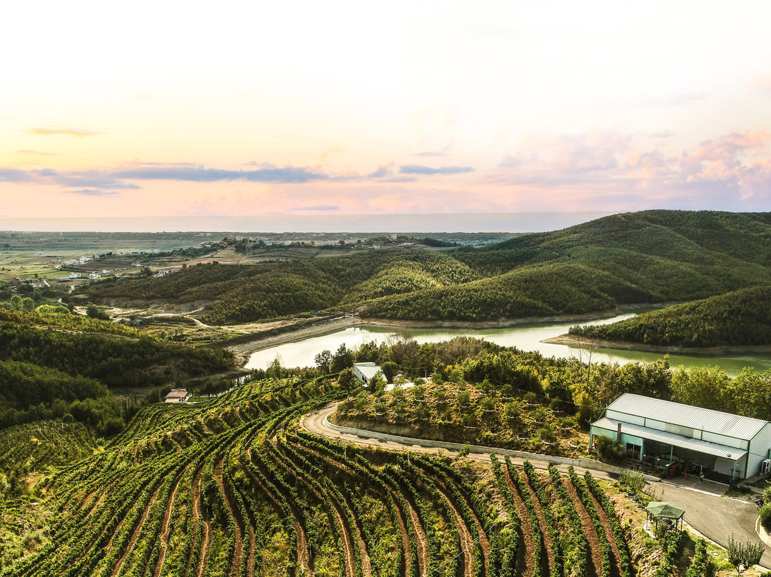 Vinum Wine Tours-杜勒斯必去景点