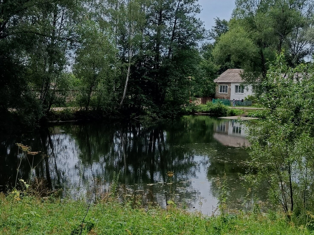 Karabikha State Memorial Literature Museum Preserve (N. A. Nekrasov)景点图片