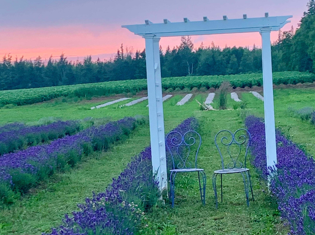 Lavender Moon Farm-Malden必去景点