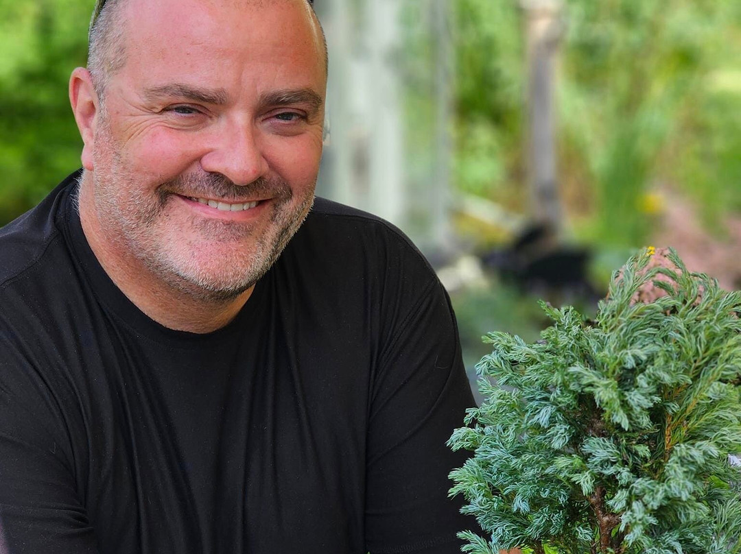 Create a Bonsai with Streamside Trees景点图片