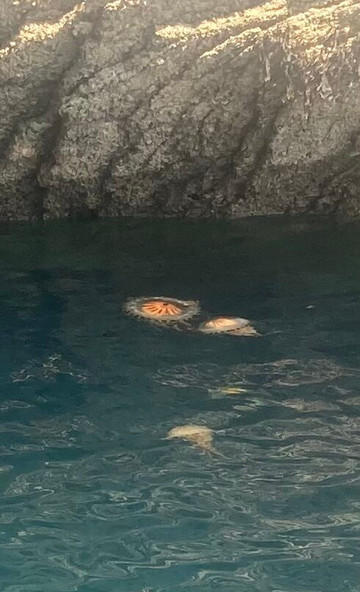 Fowey River Hire-福伊必去景点