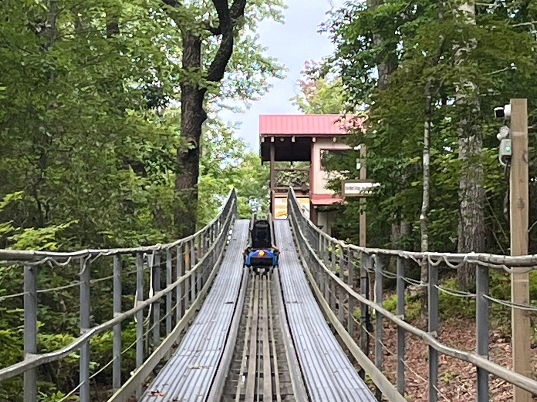 Georgia Mountain Coaster-海伦必去景点