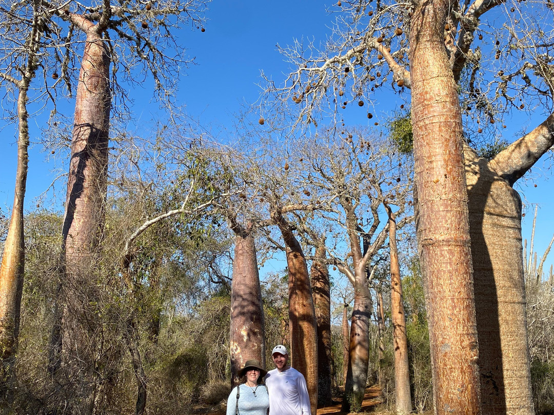 Tours in Madagascar景点图片