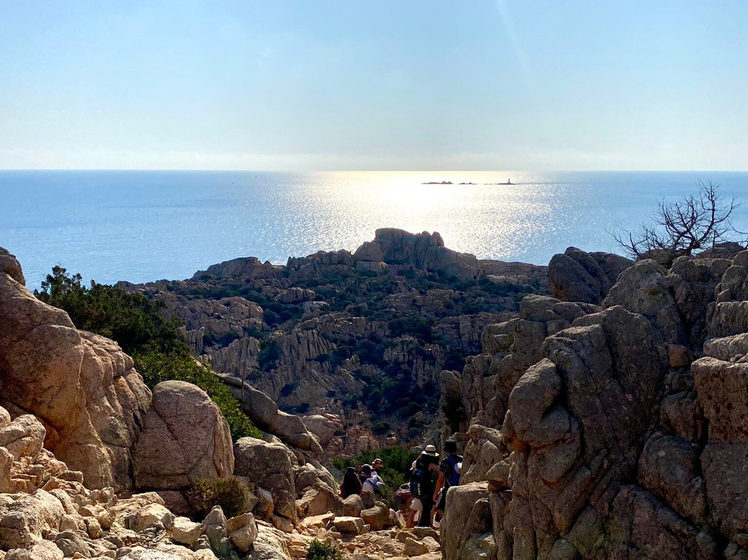 Spiaggia di Cala Coticcio-拉马达莱娜必去景点