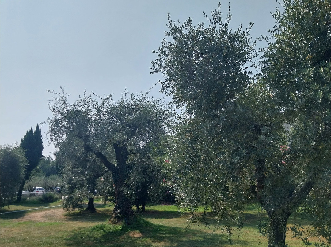 伊尔盖托农庄假日酒店主图