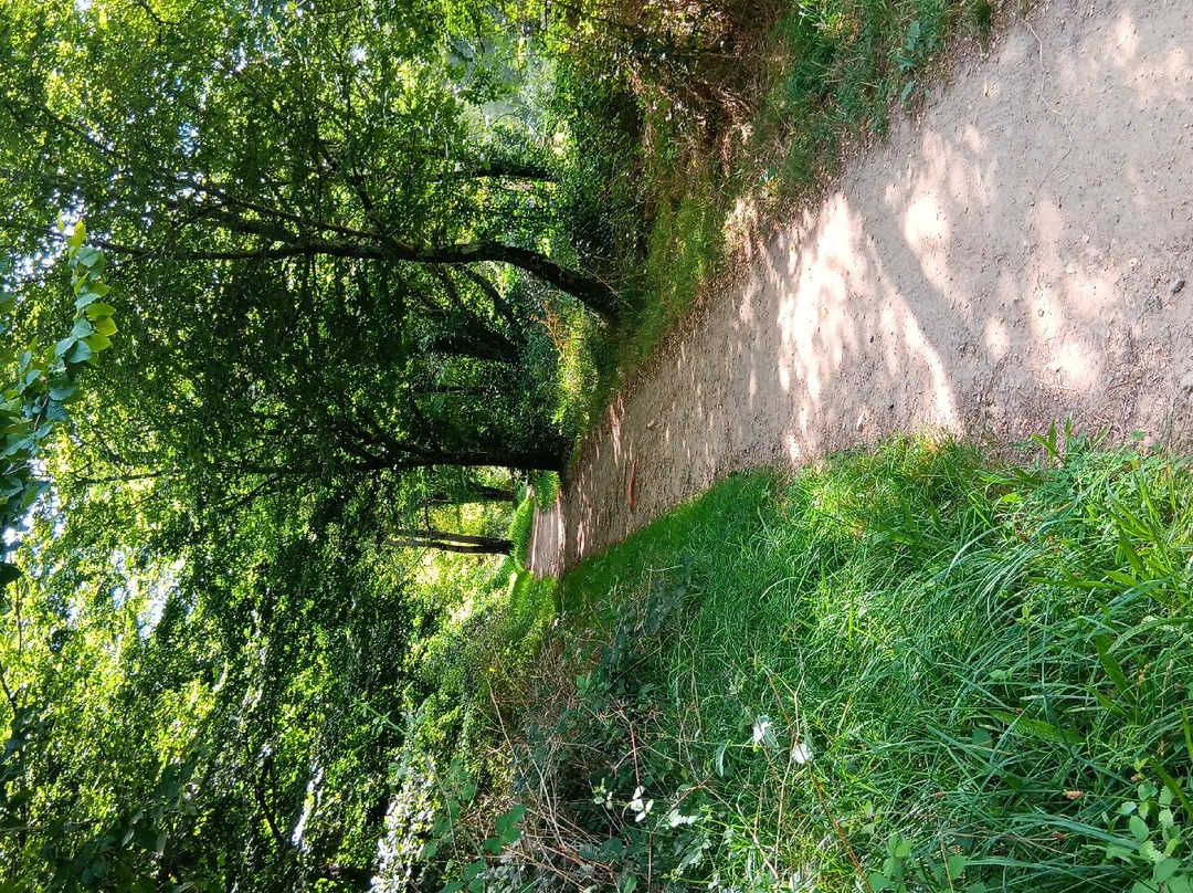 Le Parc De La Gournerie景点图片