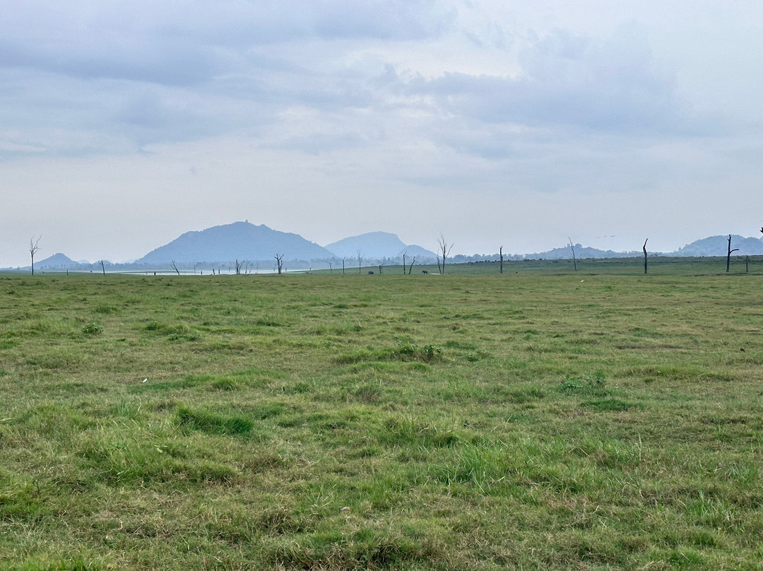 Maduru Oya National Park景点图片