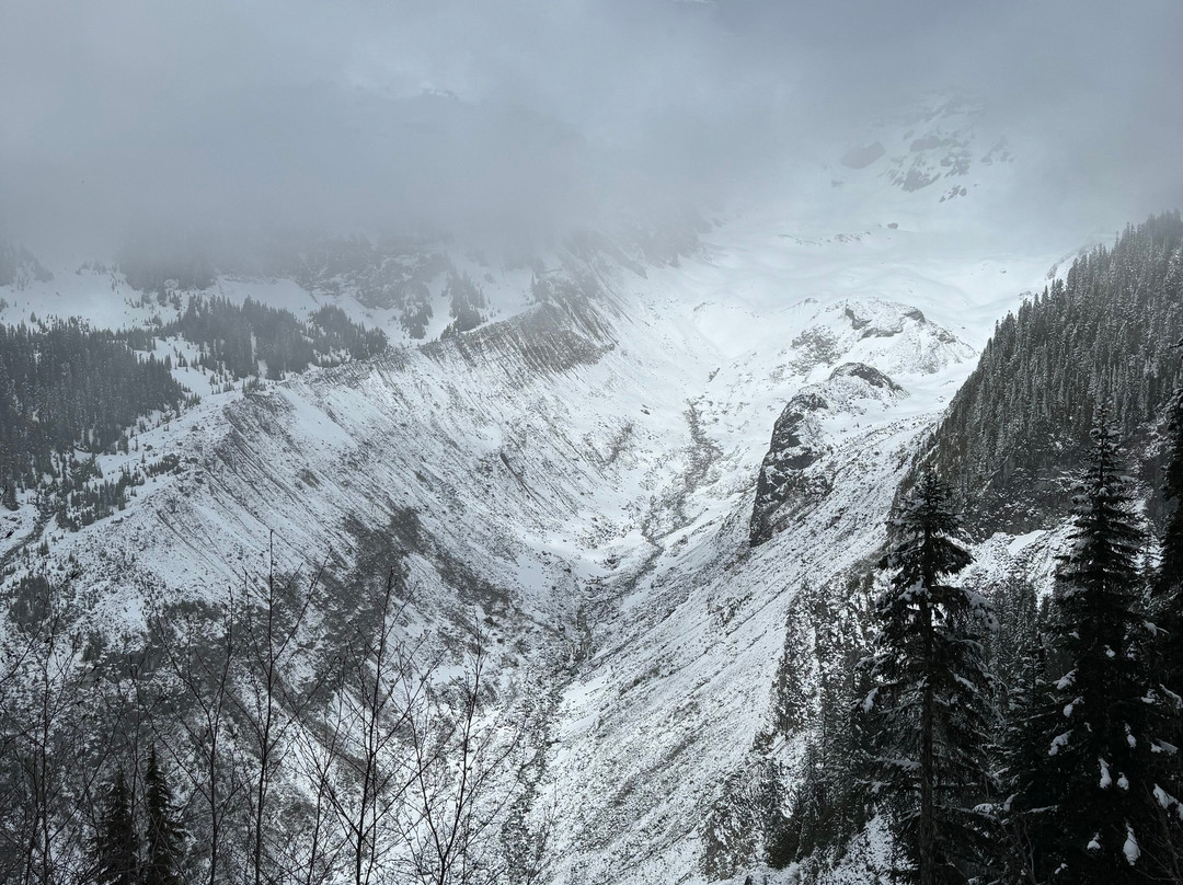 Nisqually Vista Loop景点图片