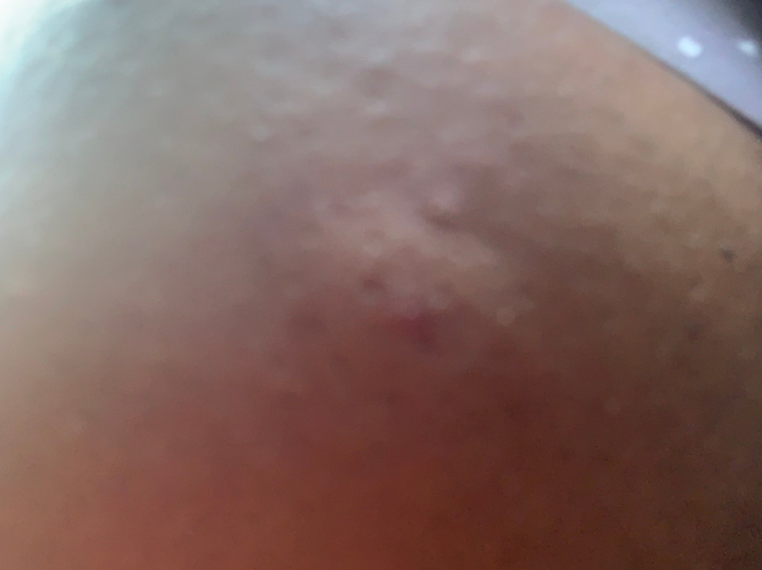 Best Western Montis Inn主图