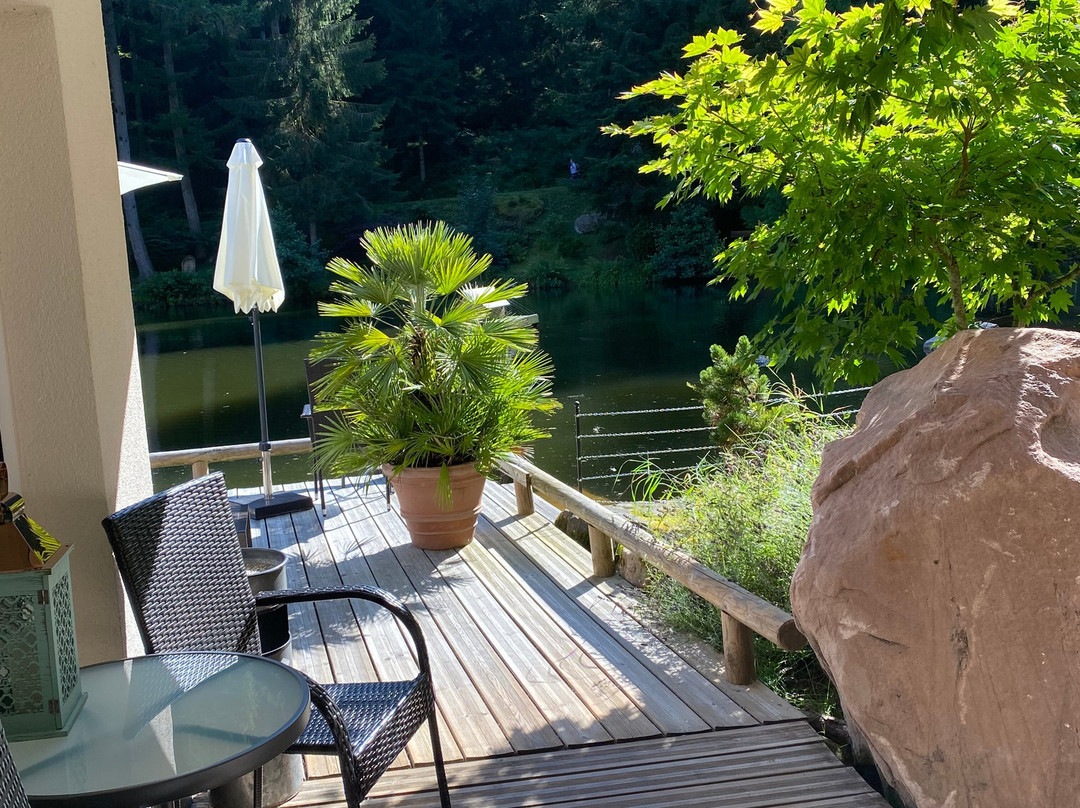 Hotel Langenwaldsee主图
