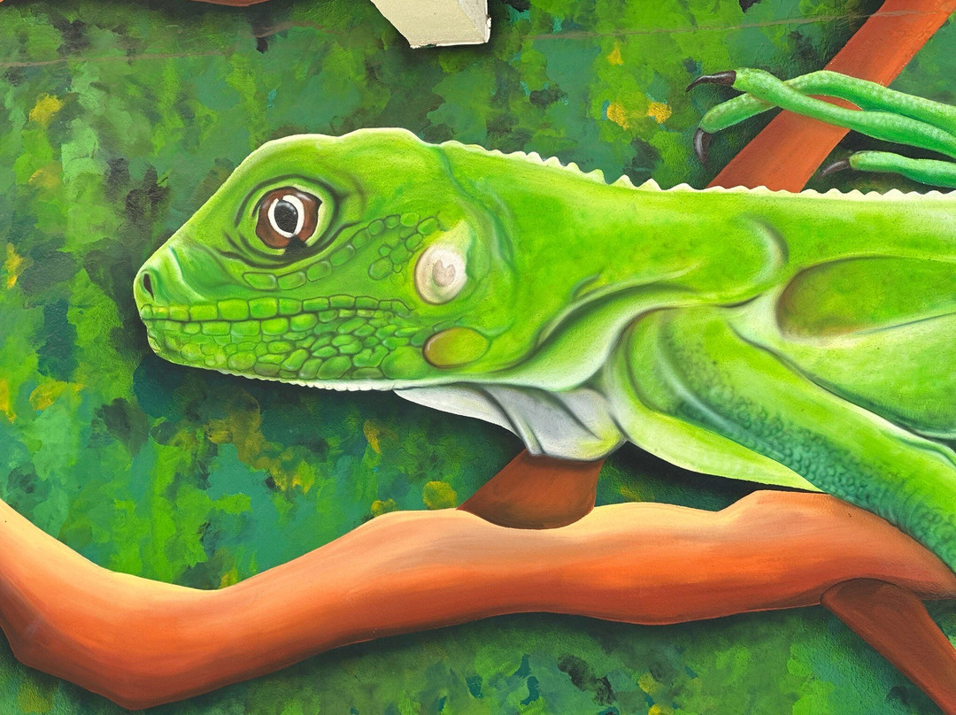 Space21.art-San Nicolas必去景点