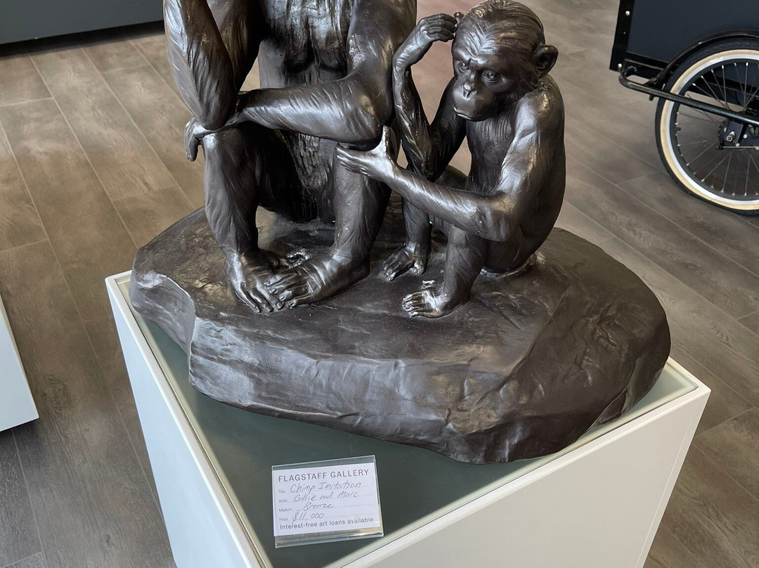 Flagstaff Gallery-奥克兰必去景点