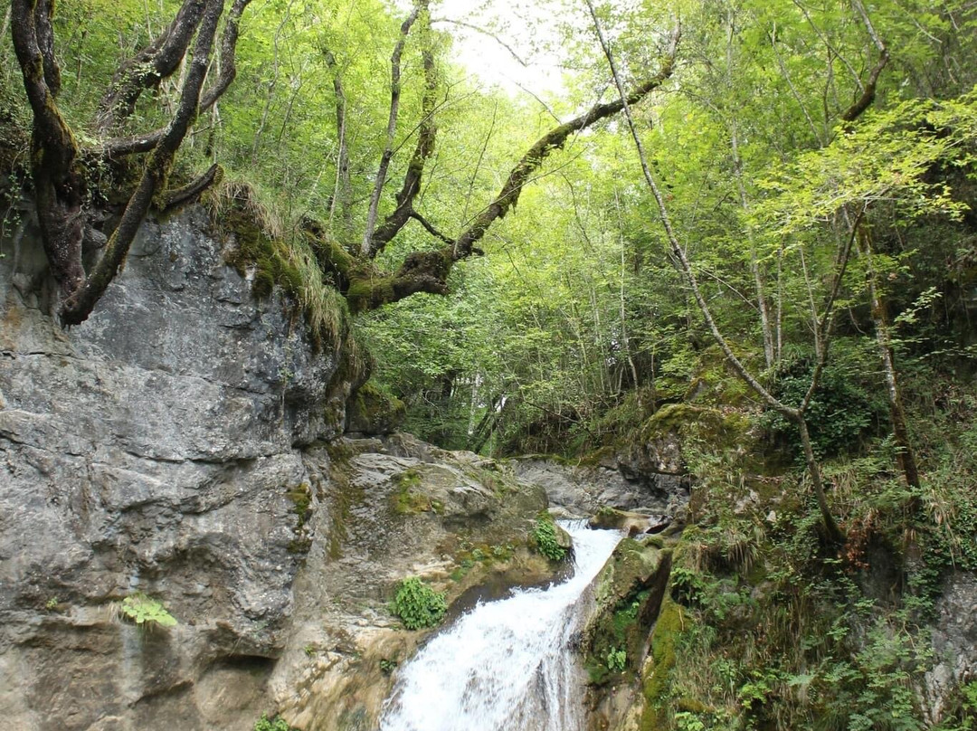 Pollino Rafting景点图片