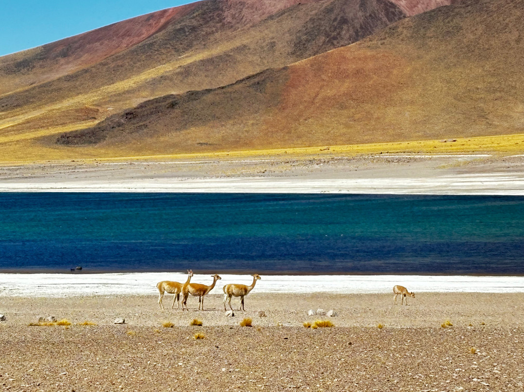 Sorbac-圣佩德罗-德阿塔卡马必去景点