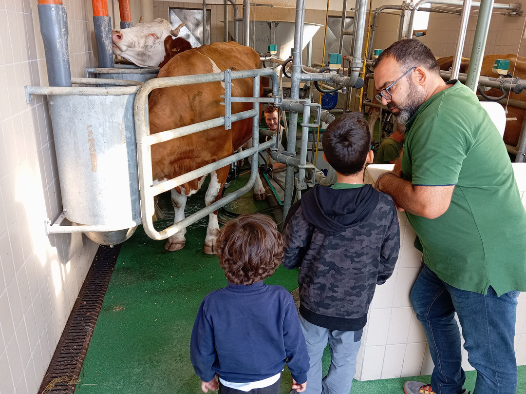 Malga Montagna Granda