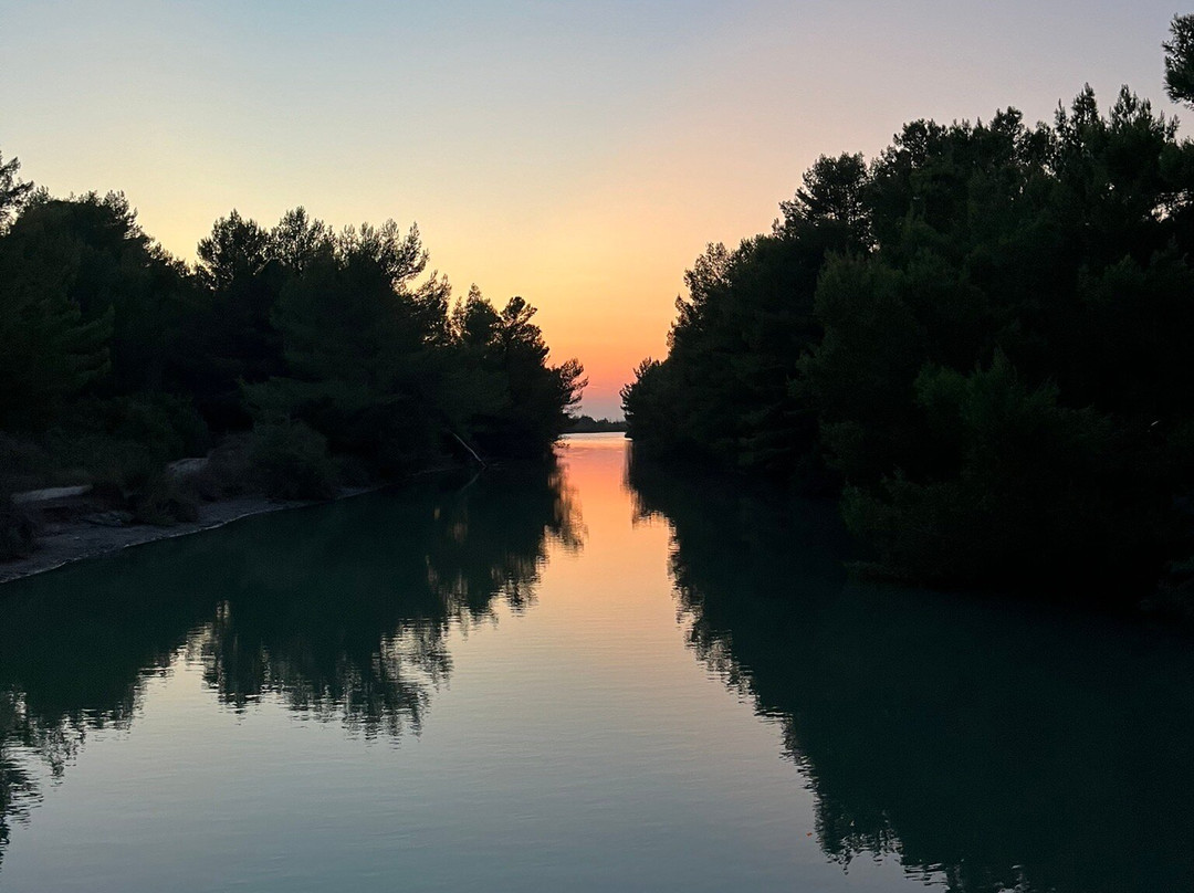 Laguna e Karavastasë景点图片