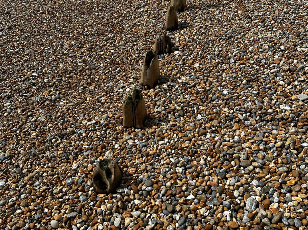 Pett Level Beach景点图片