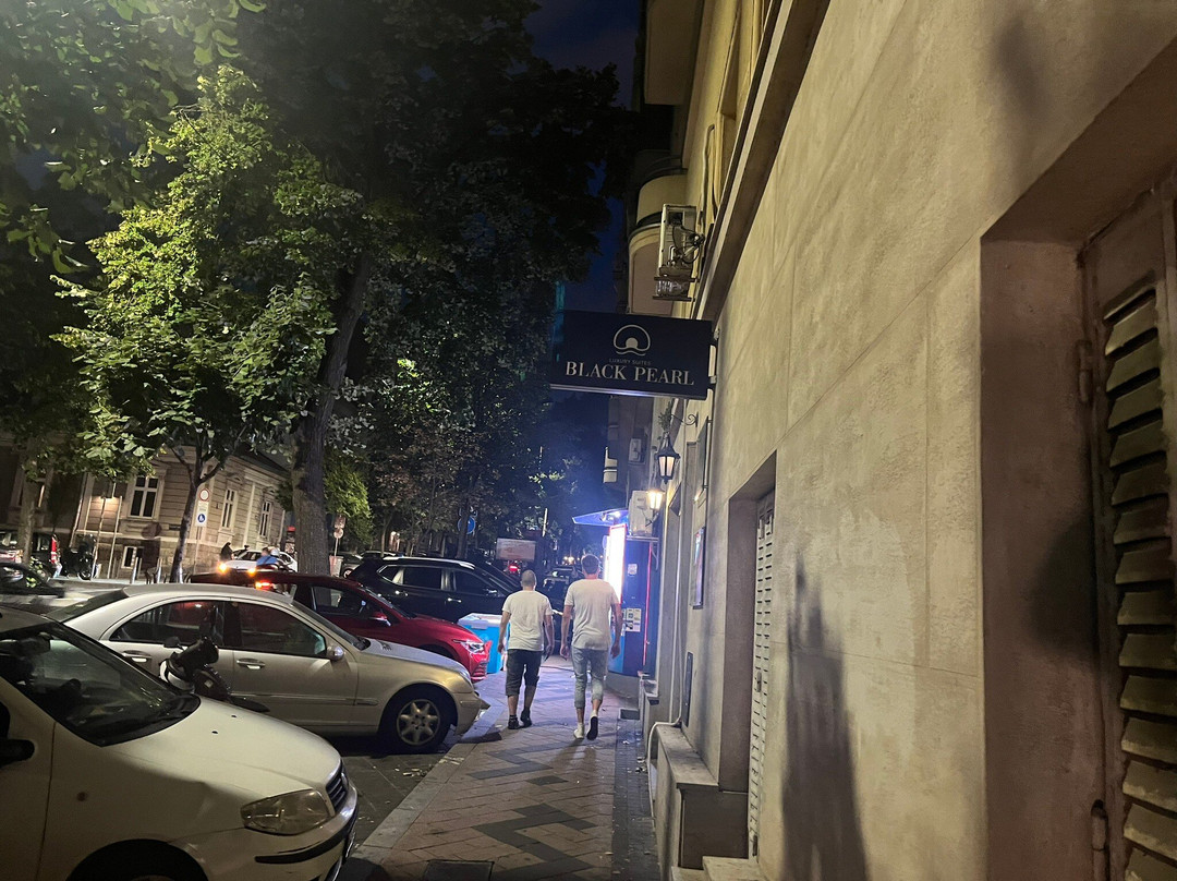 黑珍珠奢华套房酒店主图