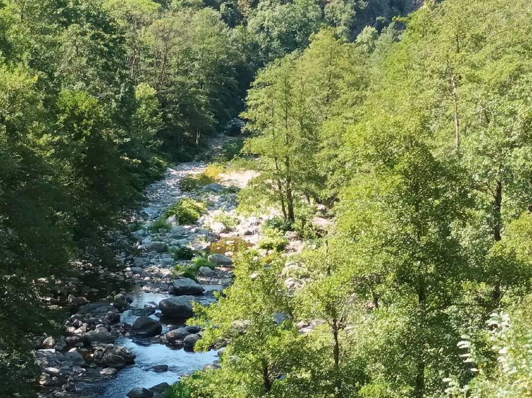 Train De L'Ardeche-图尔农必去景点