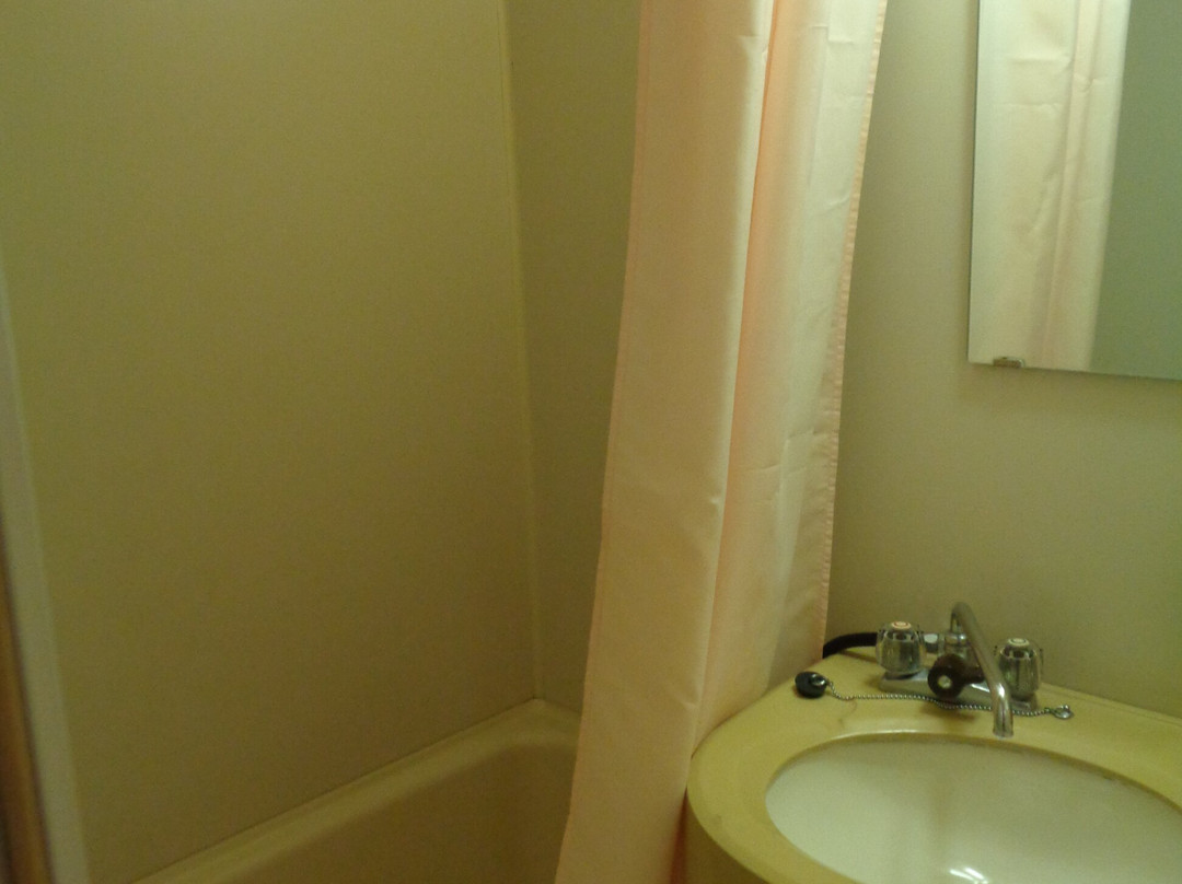 Tsuyama Grand Hotel主图