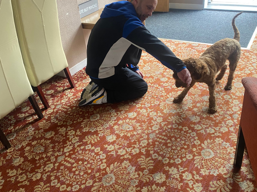 The Bay Ridge Hotel主图